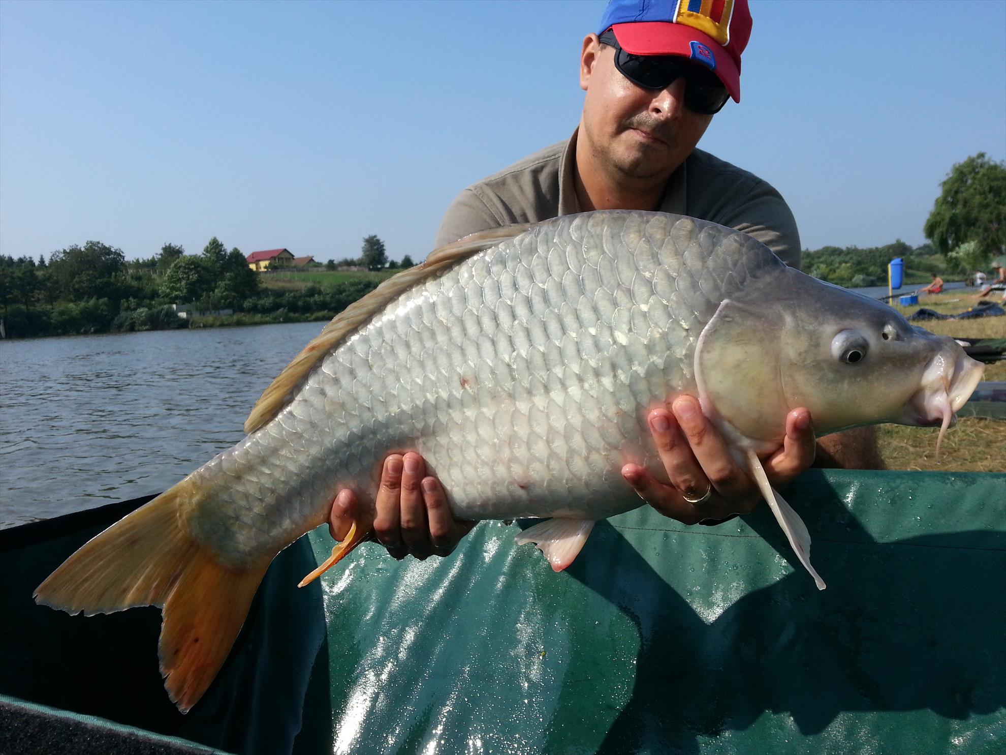 Moara Vlasiei 2 15 august 2014 - 20140815100430.jpg